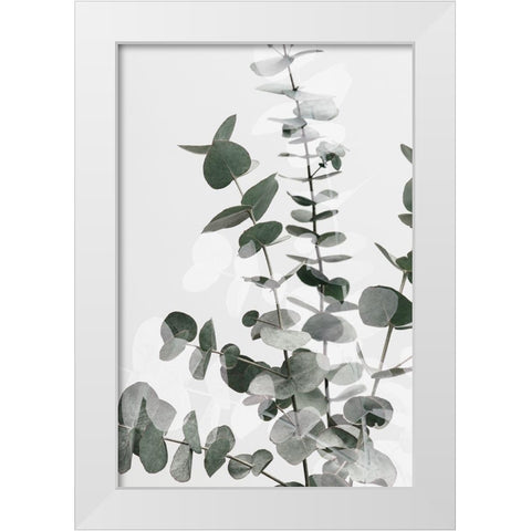 Eucalyptus Creative 06 White Modern Wood Framed Art Print by Artographie Studio