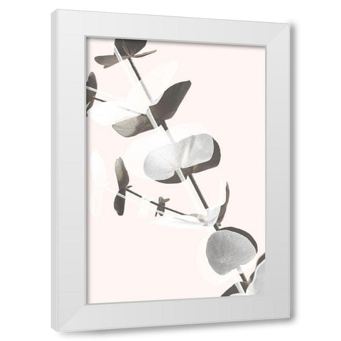 Eucalyptus Creative 13 White Modern Wood Framed Art Print by Artographie Studio