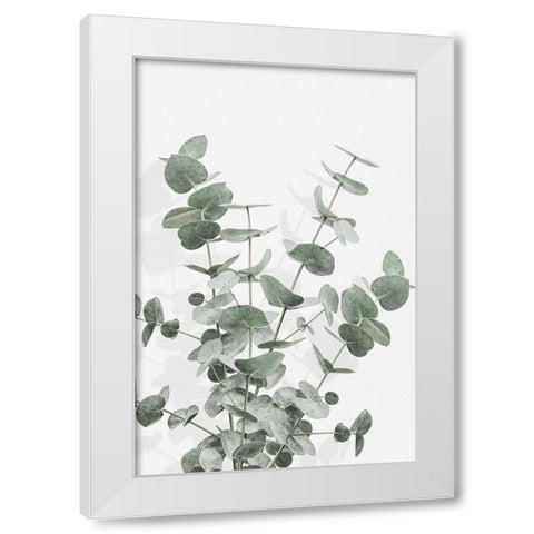 Eucalyptus Creative 16 White Modern Wood Framed Art Print by Artographie Studio