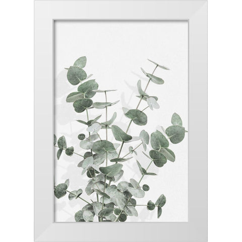 Eucalyptus Creative 16 White Modern Wood Framed Art Print by Artographie Studio
