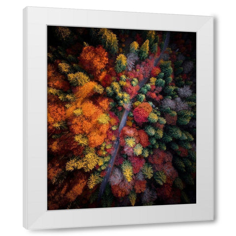 Fall stories White Modern Wood Framed Art Print by Razvan
