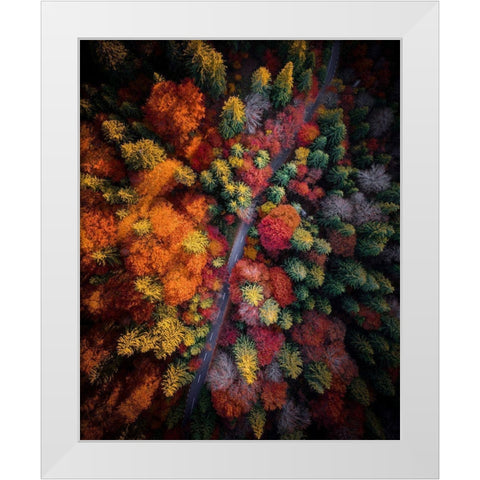 Fall stories White Modern Wood Framed Art Print by Razvan