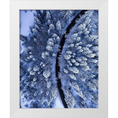 The Road not Taken White Modern Wood Framed Art Print by Razvan