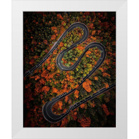 Curves White Modern Wood Framed Art Print by Razvan