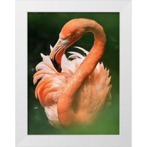 Flame White Modern Wood Framed Art Print by Zetos, Alexios