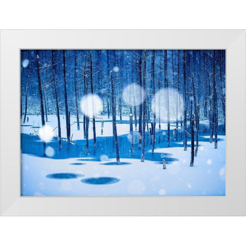 Fairyland White Modern Wood Framed Art Print by Sono, Hidenori