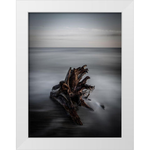 Naufrago White Modern Wood Framed Art Print by Lintaman, Adachi
