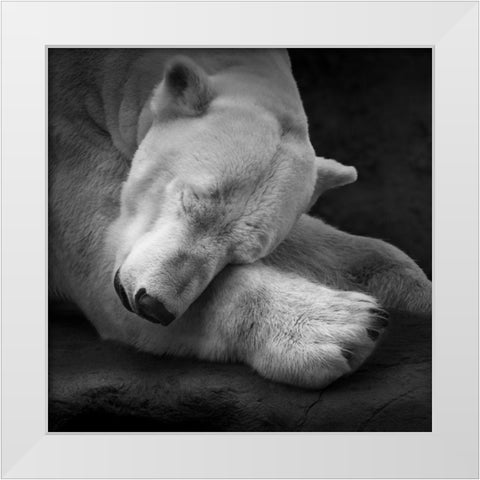 On my Pillow White Modern Wood Framed Art Print by Krinke, Andreas