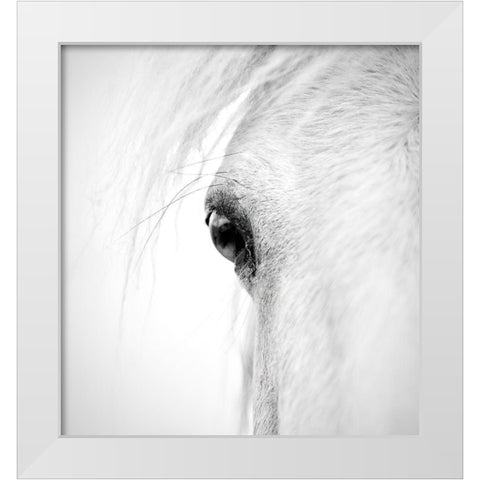 Horse Eye White Modern Wood Framed Art Print by Zhao, Alex
