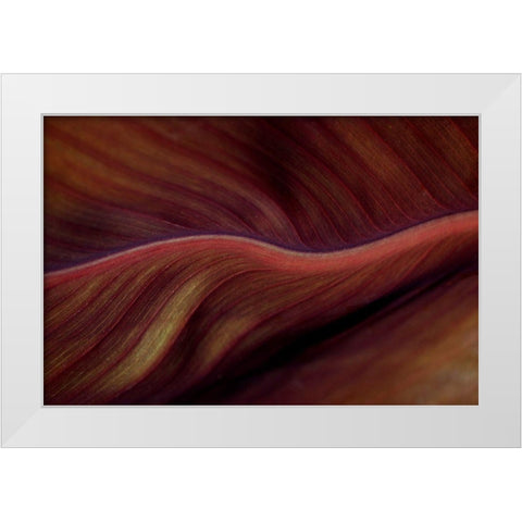 The Red Desert Dunes White Modern Wood Framed Art Print by Wechsler, Robin