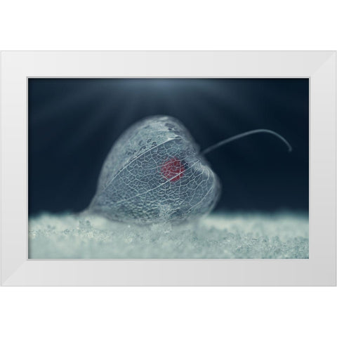 Heart of Nature White Modern Wood Framed Art Print by Georgieva V, Nikki