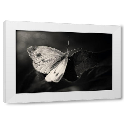 The Escape White Modern Wood Framed Art Print by Michael