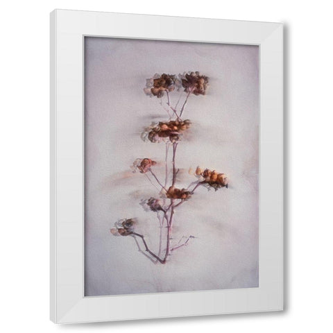The Decay White Modern Wood Framed Art Print by Kiral, Cicek