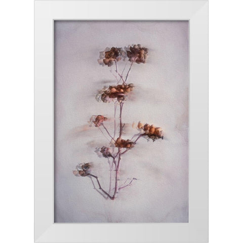 The Decay White Modern Wood Framed Art Print by Kiral, Cicek