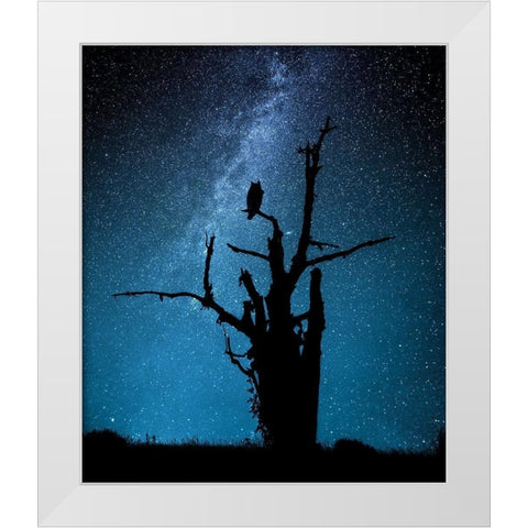 Alone in the dark White Modern Wood Framed Art Print by Allicot, Manu