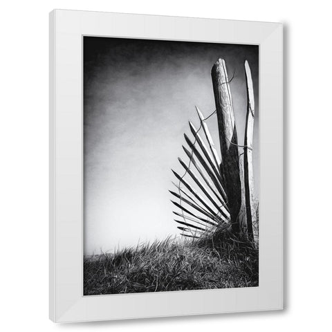 No offence in the dunes White Modern Wood Framed Art Print by Flour, Bruno
