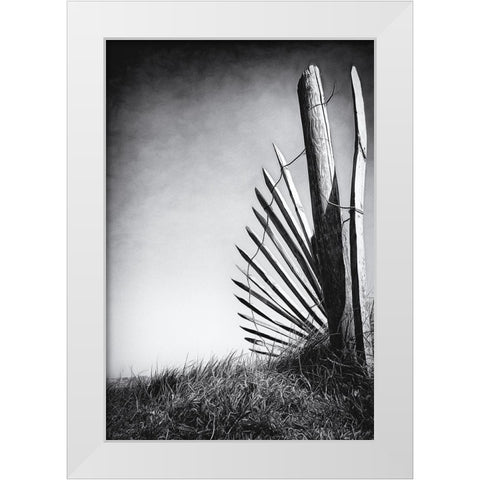 No offence in the dunes White Modern Wood Framed Art Print by Flour, Bruno