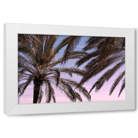 Palm 012 White Modern Wood Framed Art Print by Artographie Studio