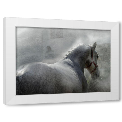 gramy White Modern Wood Framed Art Print by Malovrh, Milan