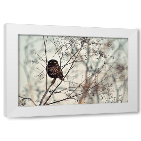 Look at Me White Modern Wood Framed Art Print by Avramescu, Emilian