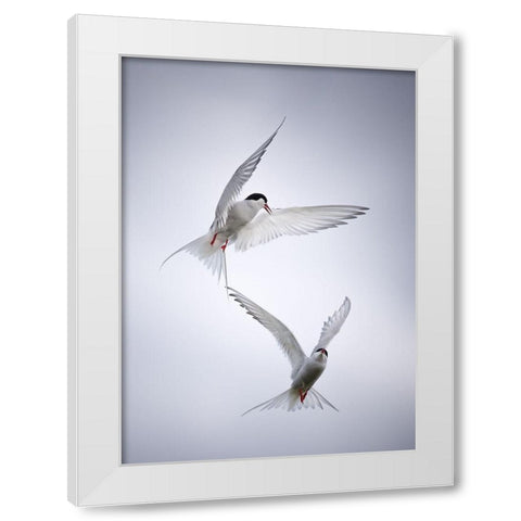 Arctic Tango White Modern Wood Framed Art Print by Fegari