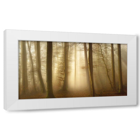 Into the Trees White Modern Wood Framed Art Print by Maier, Norbert