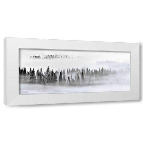 Foggy Forest White Modern Wood Framed Art Print by Xu, Mei