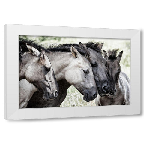 Four Konik Horses White Modern Wood Framed Art Print by Van Den, Jaap
