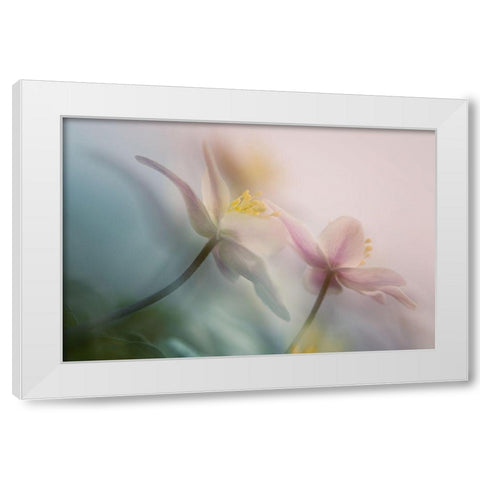 Gentle White Modern Wood Framed Art Print by Van Dongen, Anton