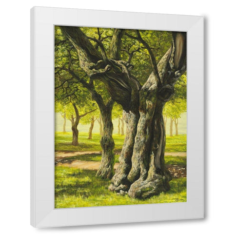 Klosterbaum White Modern Wood Framed Art Print by Richter, Cornelia