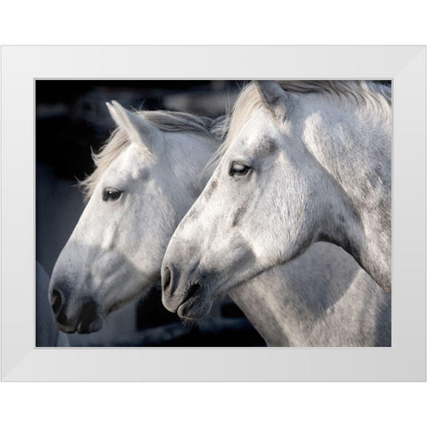 Good Friends White Modern Wood Framed Art Print by Llovet, Jorge