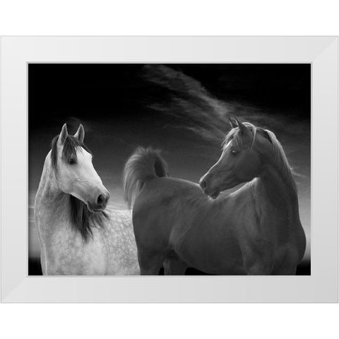 Shall we dance White Modern Wood Framed Art Print by Llovet, Jorge