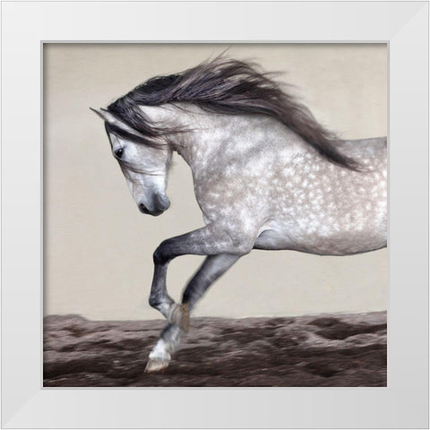 Perseverance White Modern Wood Framed Art Print by Llovet, Jorge
