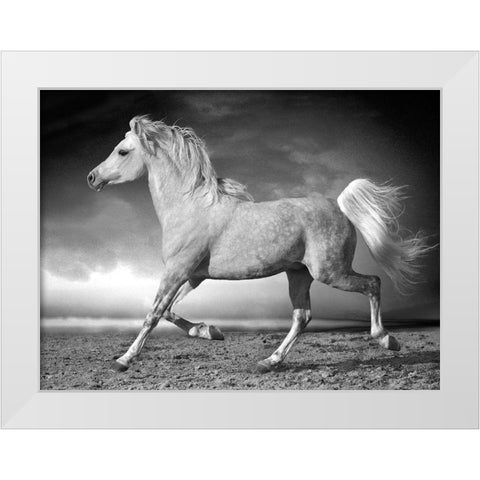 Walking along the Beach White Modern Wood Framed Art Print by Llovet, Jorge