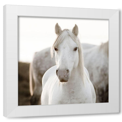 Horse White Modern Wood Framed Art Print by Llovet, Jorge