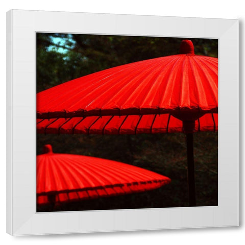 Red protection White Modern Wood Framed Art Print by Weber, Matthias