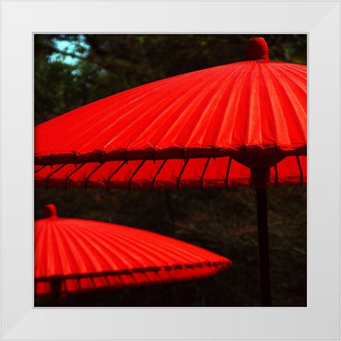 Red protection White Modern Wood Framed Art Print by Weber, Matthias