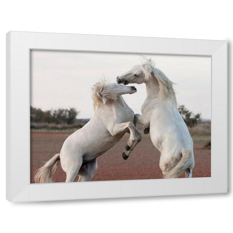 Male Competition White Modern Wood Framed Art Print by Llovet, Jorge