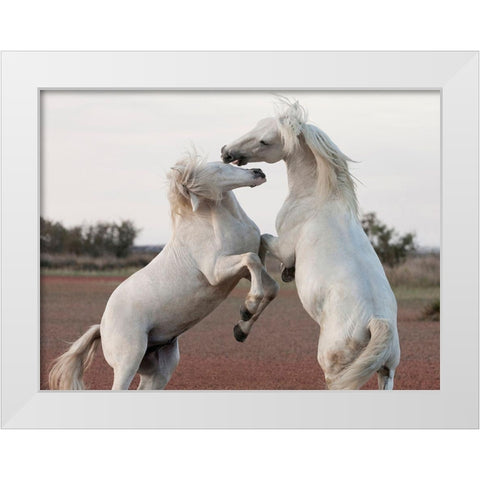 Male Competition White Modern Wood Framed Art Print by Llovet, Jorge