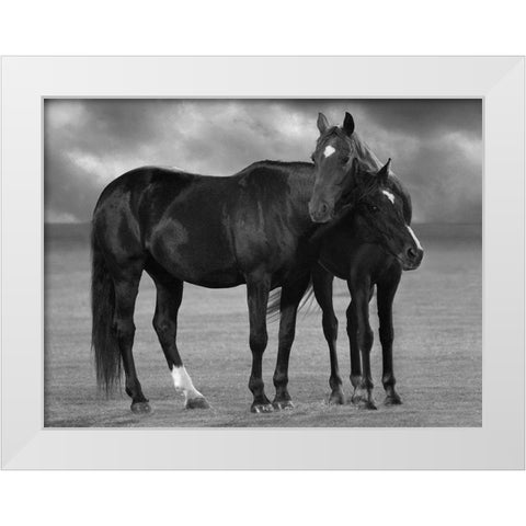 Feeling Good White Modern Wood Framed Art Print by Llovet, Jorge