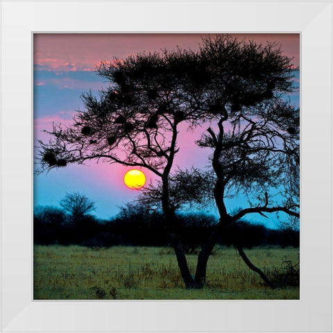 End of the Day White Modern Wood Framed Art Print by Brommelhorster, Ulf