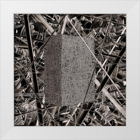 BW 231113 White Modern Wood Framed Art Print by NADAL