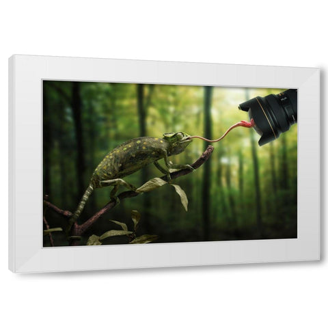 Just a Chameleon action shooting… White Modern Wood Framed Art Print by John Wilhelm is a Photoholic