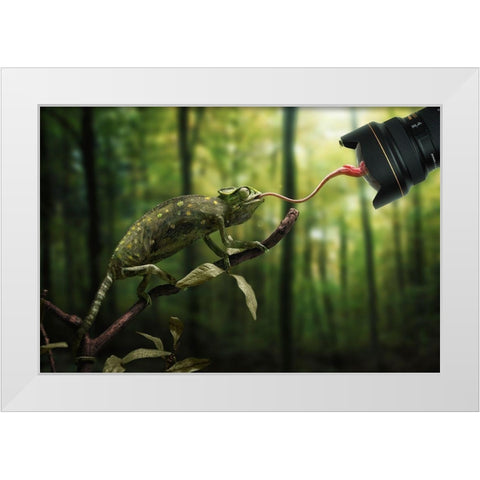 Just a Chameleon action shooting… White Modern Wood Framed Art Print by John Wilhelm is a Photoholic