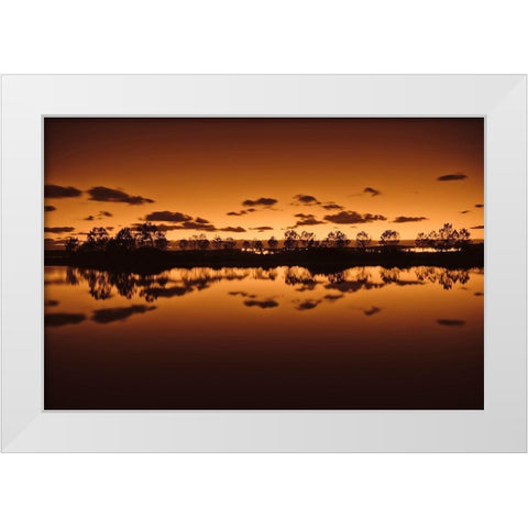 Symetrie White Modern Wood Framed Art Print by Bertrande, Arnaud