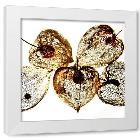 Evanescence I White Modern Wood Framed Art Print by Weber, Matthias