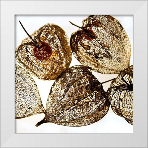 Evanescence III White Modern Wood Framed Art Print by Weber, Matthias