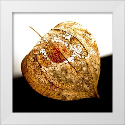 Evanescence V White Modern Wood Framed Art Print by Weber, Matthias