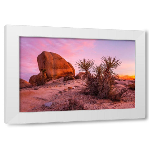 Stoneway White Modern Wood Framed Art Print by Lichtenwalter, Tom