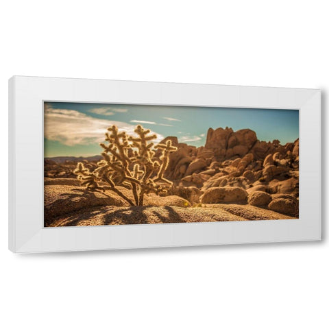 Desert Foreground White Modern Wood Framed Art Print by Lichtenwalter, Tom
